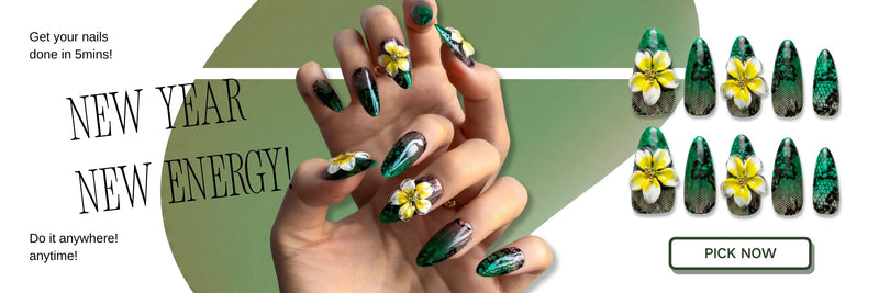 2025 New Year Collection