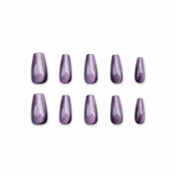 Midnight Passion